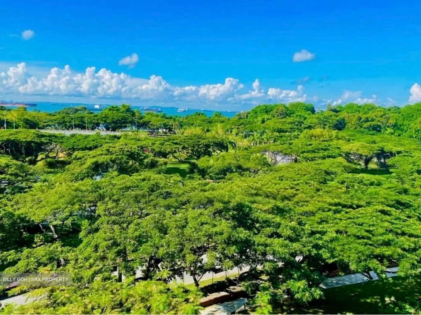 Blk 64 Marine Drive Gardens (Marine Parade), HDB 3 Rooms #602844861